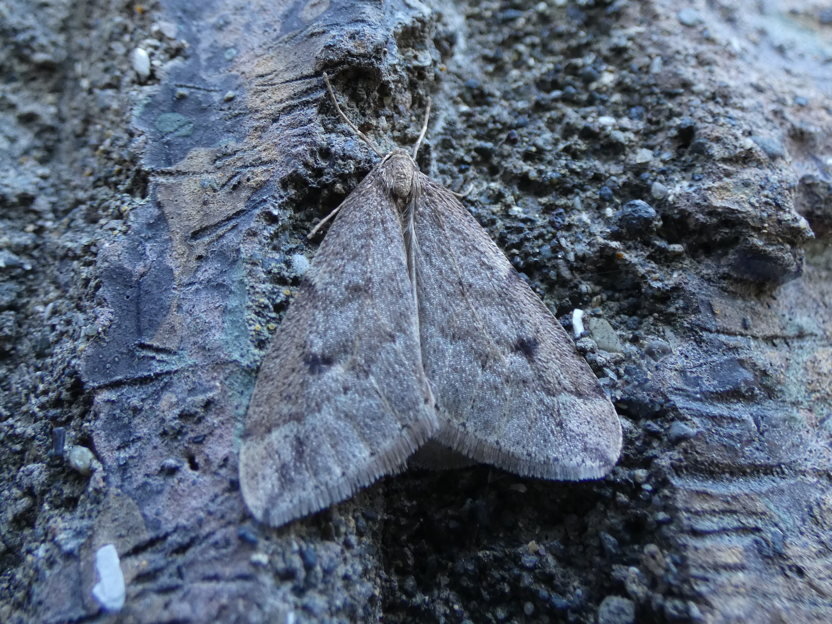 photo_6